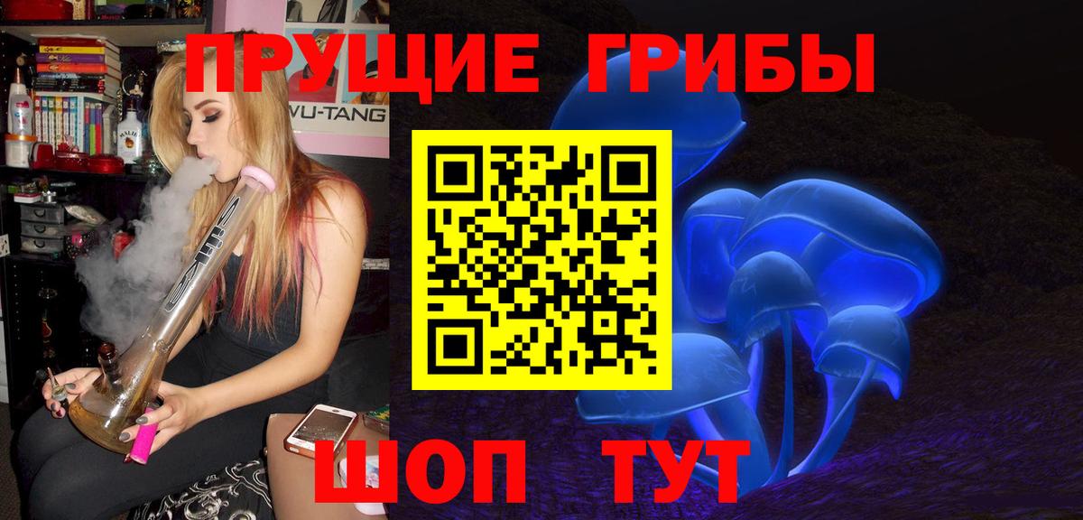 Галлюциногенные грибы Psilocybe Аргун